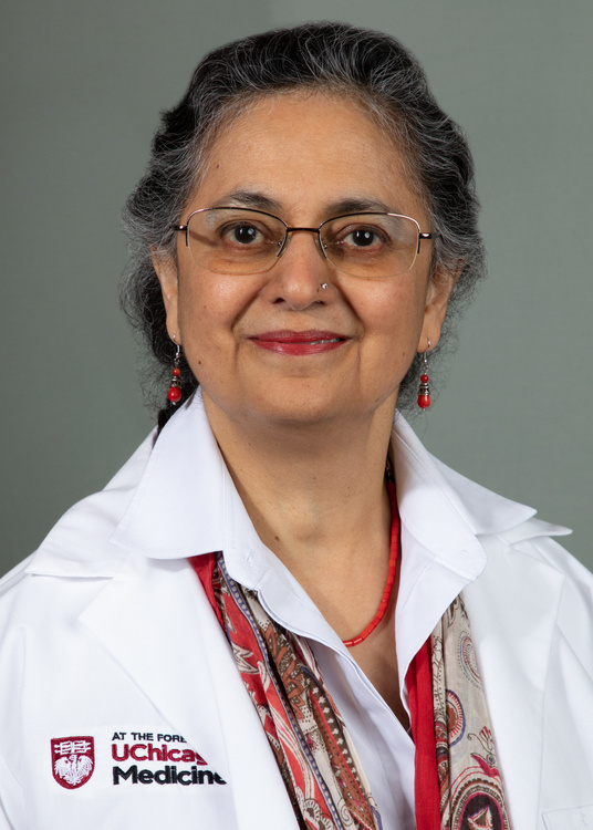 Aliya Husain