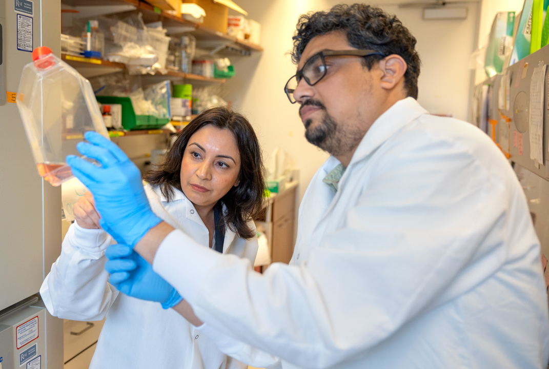 Two scientists conducting research in a lab