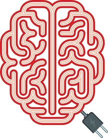 SMARTFest brain 