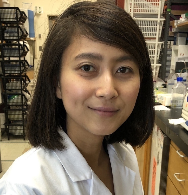 Shino Murakami, Ph.D.