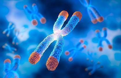 Cancer and Aging