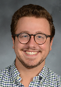 Domenic V. Gargiulo