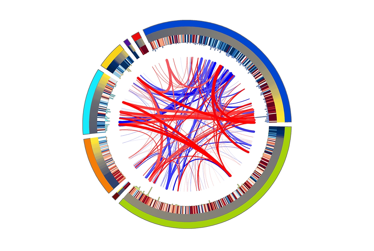 Multi-colored circle with an outer ring, and red and blue lines in the center.