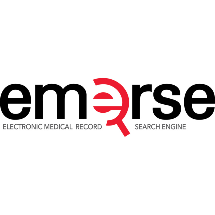 EMERSE logo
