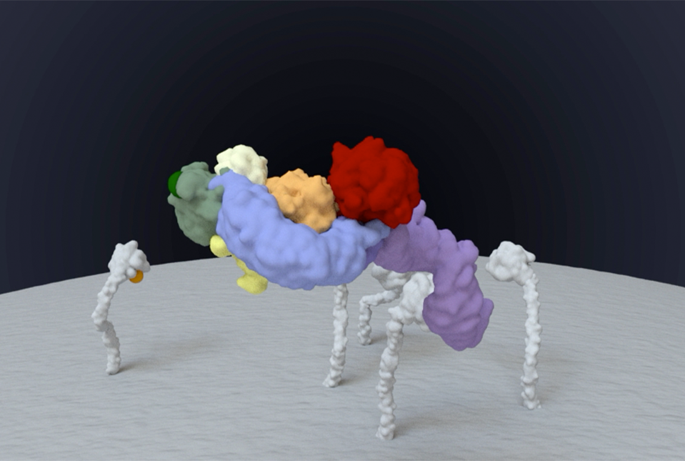 LRRK2 protein