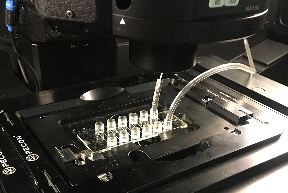 microscope stage with special slides