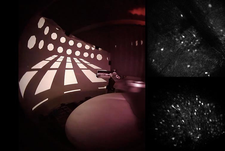 virtual reality scene next to brain imaging