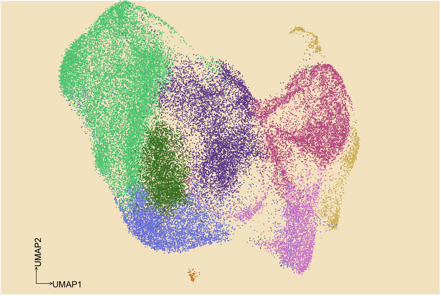 colored dots representing individual cells