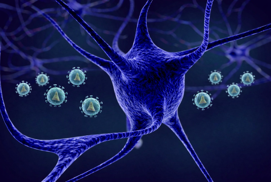 HIV and neuron