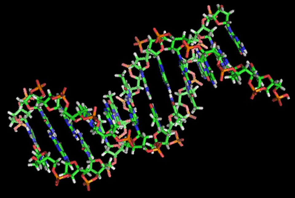 DNA strand