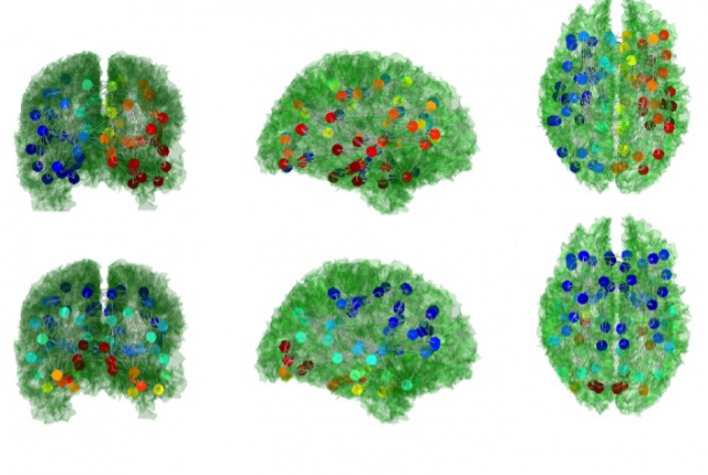 Diagrams of brain eigenmodes