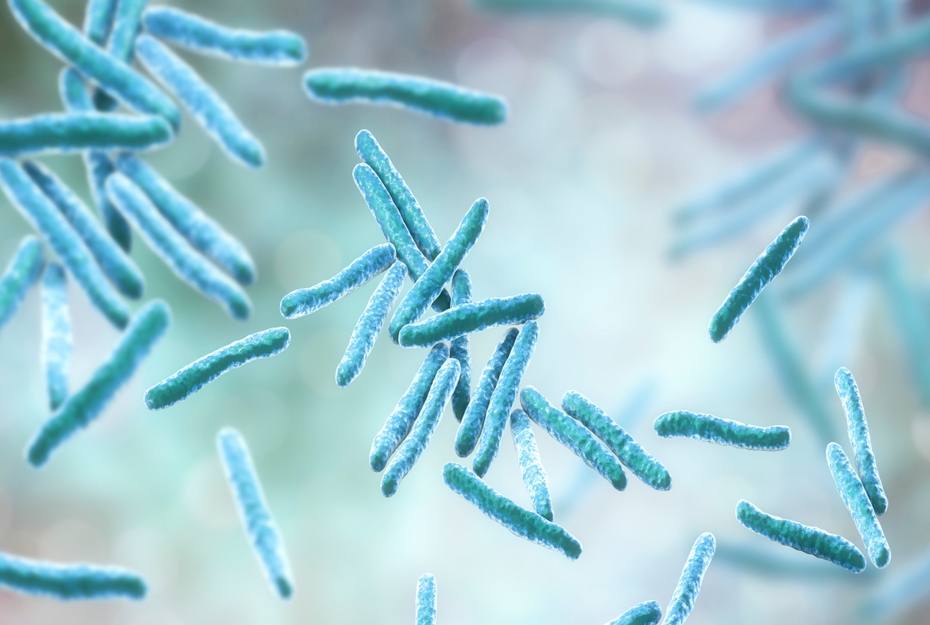 stock image of tuberculosis