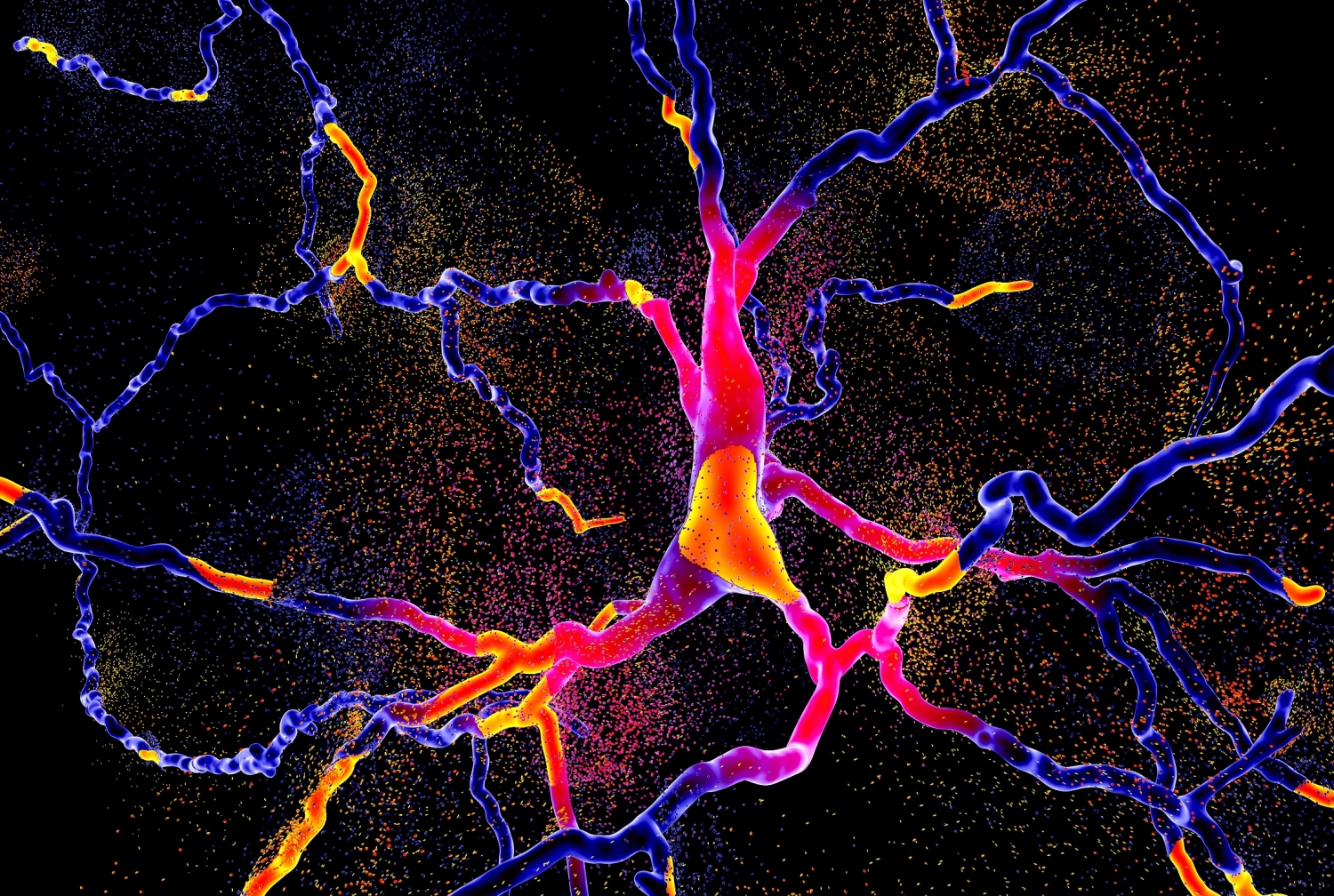 colorful brainneurond  illustration