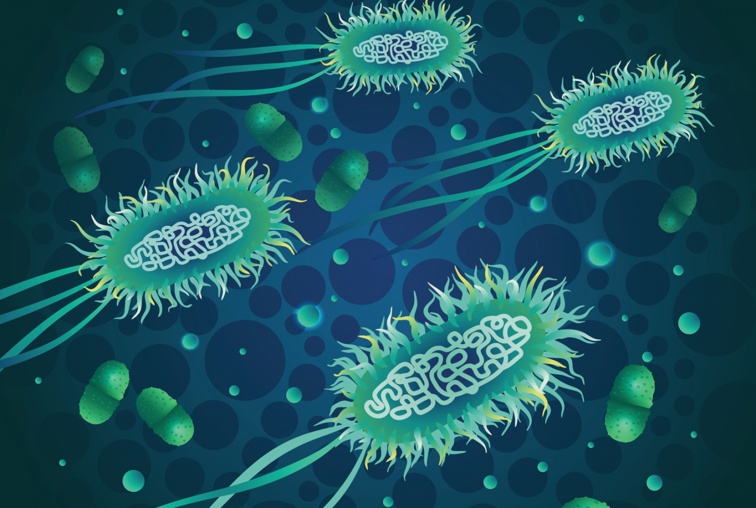 Blue and green illustration of e coli bacterium