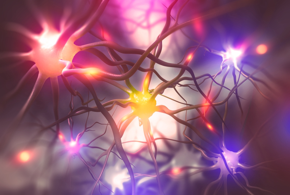 brain activity lighting up neurons illustration