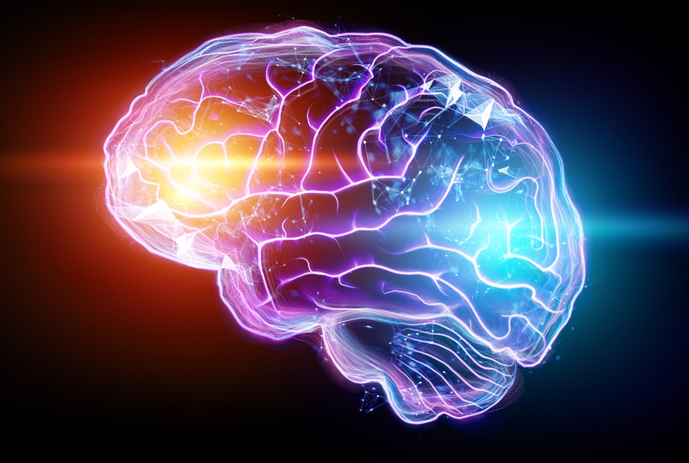 drawing of a brain with red and blue lit up spots to suggest brain network imaging