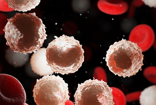 red and white blood cell illustration