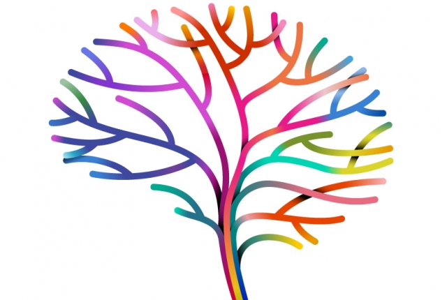 rainbow brain blood vessel art