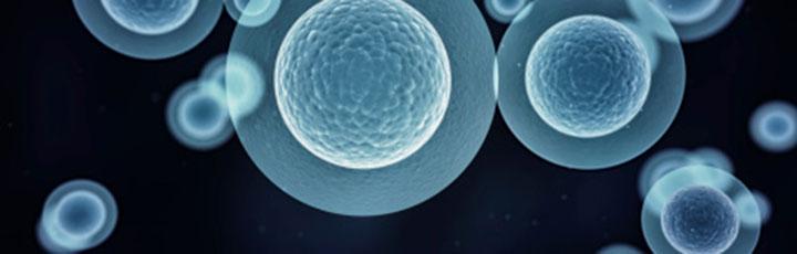Flow Cytometry Core Banner