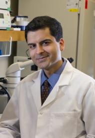 a man posing for a picture