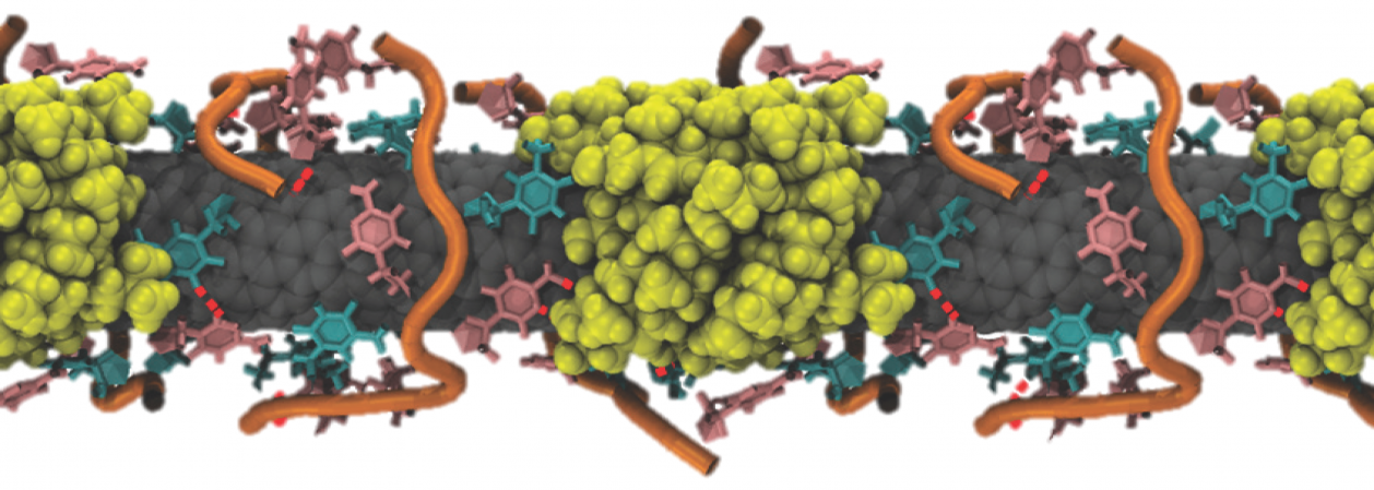 Simulated image of the nanoreporter bound to molecules of cholesterol (yellow).