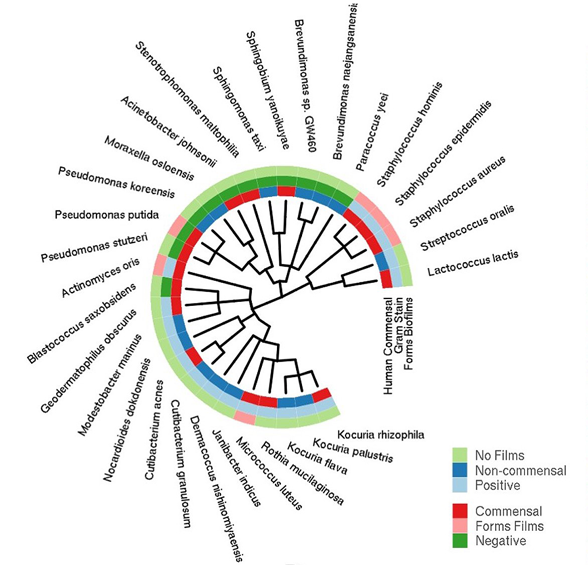 The core microbiome