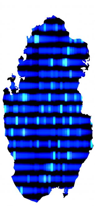 an illustration of DNA in the shape of Qatar.