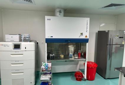 image of a lab