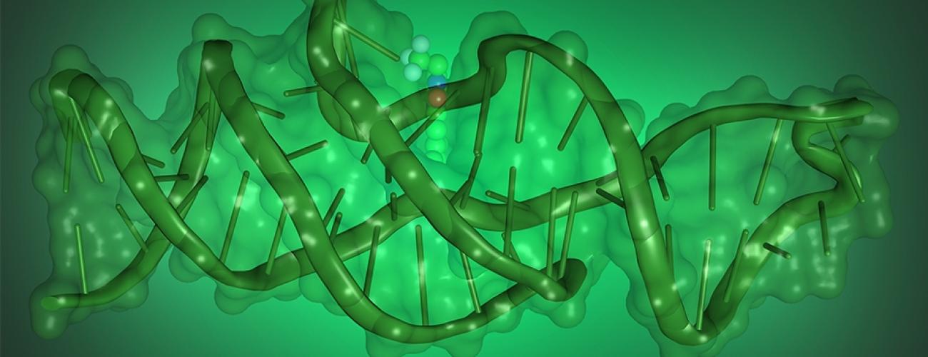 DNA Can Fold into Complex Shapes to Execute New Functions