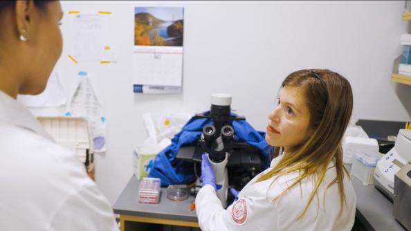 Dr. Siolas pancreatic cancer researcher