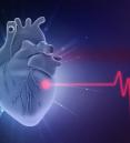 illustration of a heart with an EKG reading next to it
