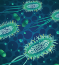 Blue and green illustration of e coli bacterium