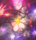 brain activity lighting up neurons illustration