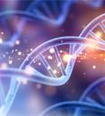 illustration of DNA