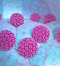 hpv illustration