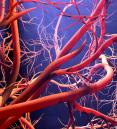 Scientific stock image