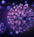 illustration of coronavirus