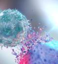 3D rendering of a NK Cell (Natural Killer Cell) destroying a cancer cell