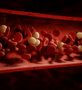 Blood cells flowing through vessel