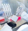 gloved scientist using multipipette