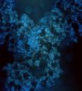 pembrolizumab rendered in shades of blue