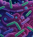 AI-generated image of intestines with microbes superimposed