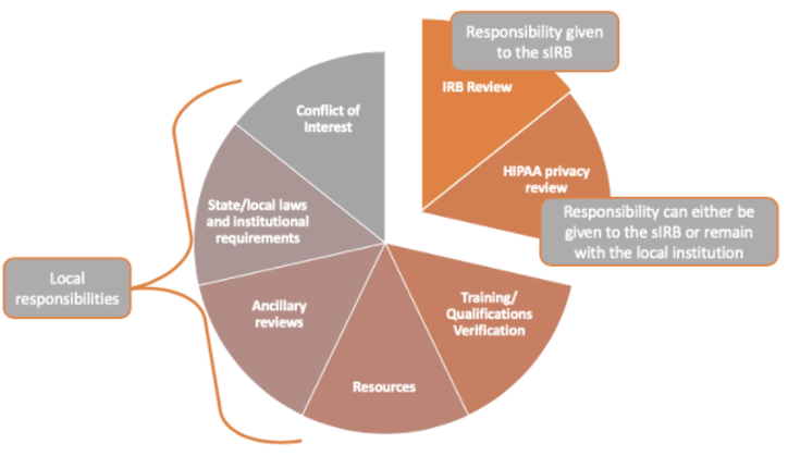sIRB vs. Local Review Process
