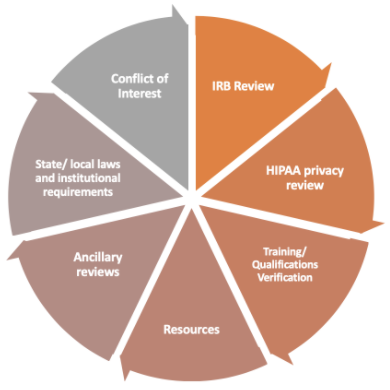 sIRB Review Process